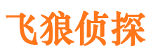 大安出轨调查